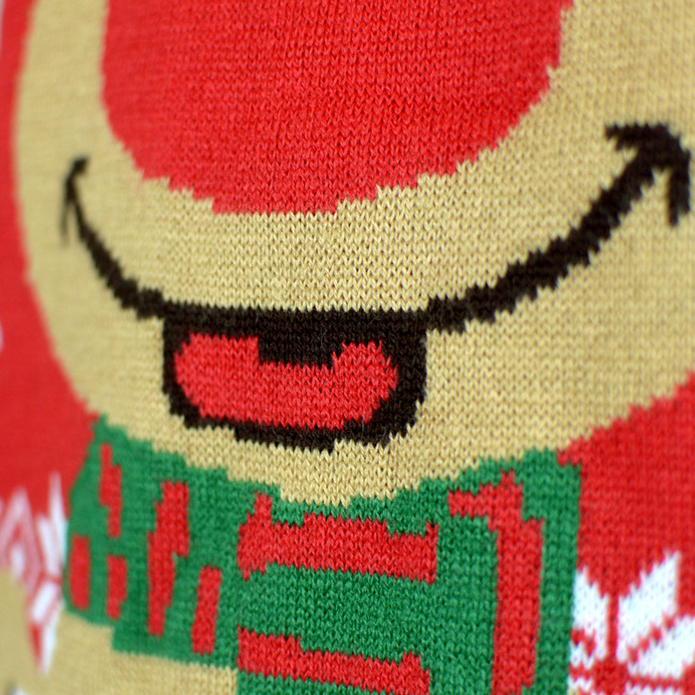Womens Ugly Christmas Sweater ¨C Reindeer with Scarf